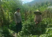 Bhabinkamtibmas Babussalam Gencarkan Ketahanan Pangan di Lombok Barat
