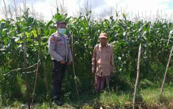 Bhabinkamtibmas Sosialisasi Pemanfaatan Lahan Kosong untuk Pangan