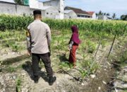 Warga Labuapi Diajak Manfaatkan Lahan Kosong untuk Tanaman Pangan