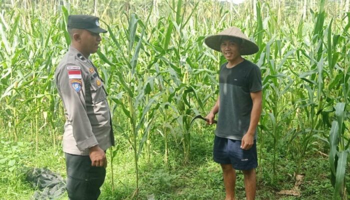 Sinergi Polri dan Warga Lombok Barat Wujudkan Kemandirian Pangan
