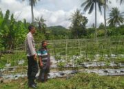 Dukung Ketahanan Pangan, Polri Aktif di Desa Batu Putih