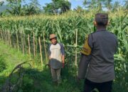 Pekarangan Bergizi, Inisiatif Ketahanan Pangan di Dasan Geres