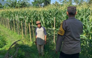 Pekarangan Bergizi, Inisiatif Ketahanan Pangan di Dasan Geres