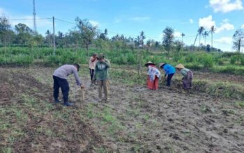 Peran Polri Dalam Swasembada Pangan di Sekotong, NTB