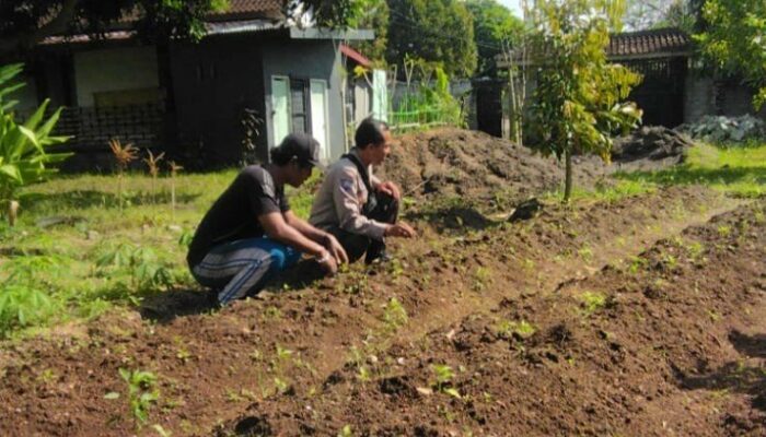 Polda NTB Dorong Warga Tanam Sayur di Pekarangan Rumah