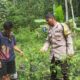 Sinergi Polri dan Warga Bangun Pekarangan Bergizi di Batulayar