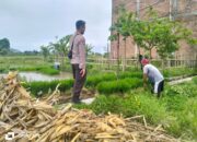 Polri Pantau Langsung Tanam Padi di Desa Lelede, Lombok Barat