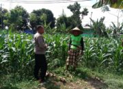 Dukung Ketahanan Pangan, Polisi Ajak Petani Manfaatkan Lahan Kosong di Bagik Polak Barat