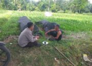 Polres Lombok Barat Dukung Petani Wujudkan Ketahanan Pangan di Lembar