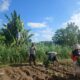 Polisi dan Petani Bersinergi di Lombok Barat, Wujudkan Kemandirian Pangan