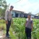 Desa Labuapi Kembangkan Ketahanan Pangan Lewat Dukungan Polri