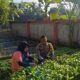 Dusun Pemangket Jadi Contoh Ketahanan Pangan Desa di Lombok Barat