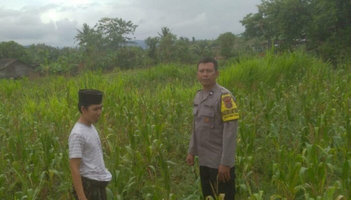 Bhabinkamtibmas Desa Sekotong Tengah Gencarkan Edukasi Ketahanan Pangan