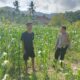 Polri Bina Petani di Lombok Barat, Kawal Ketahanan Pangan dari Akar Rumput