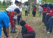 Gelorakan Swasembada, Polsek Batulayar Tanam Jagung di Lahan Perhutanan Sosial