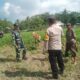 Kolaborasi TNI-Polri dan Petani Taman Ayu Wujudkan Desa Tangguh Pangan