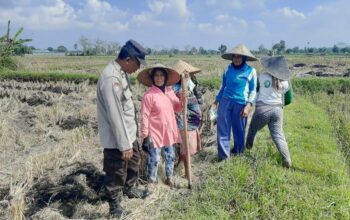 Ketahanan Pangan Dimulai dari Desa: Langkah Humanis Bhabinkamtibmas Montong Are