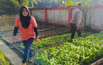 Sinergi Polri dan Masyarakat Kuripan Utara: Dari Pekarangan Menuju Ketahanan Pangan Keluarga