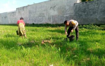 Polri di Lombok Barat Gencarkan Pemanfaatan Lahan Tidur untuk Ketahanan Pangan