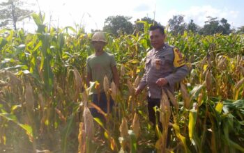 Bhabinkamtibmas Dorong Pemanfaatan Lahan untuk Ketahanan Pangan di Dusun Tambang Eleh