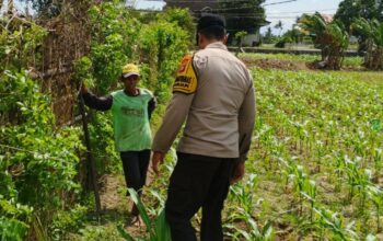 Polsek Labuapi Hadirkan Pasar Murah, Dukung Petani Wujudkan Pangan Mandiri
