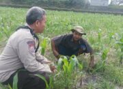 Dorong Ketahanan Pangan, Bhabinkamtibmas Desa Sandik Ajak Warga Manfaatkan Pekarangan