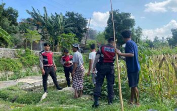 Polisi Lakukan Patroli Tanam Jagung di Dusun Kelebut untuk Dukung Swasembada Pangan