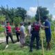 Polres Lombok Barat Aktif Kawal Produksi Jagung Petani
