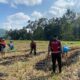 Polri dan Petani Kebon Ayu Bersinergi Wujudkan Swasembada Pangan