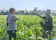 Polsek Batulayar Ajak Masyarakat Perempung Maksimalkan Lahan untuk Ketahanan Pangan