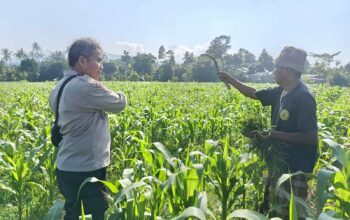 Polsek Batulayar Ajak Masyarakat Perempung Maksimalkan Lahan untuk Ketahanan Pangan