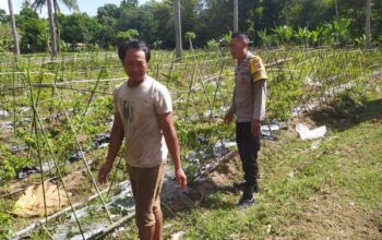 Polsek Sekotong Ajak Petani Berdayakan Lahan Produktif di Dusun Berambang