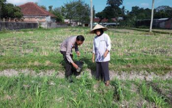 Polsek Kuripan Galakkan Pertanian Pekarangan Demi Kesejahteraan Warga