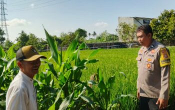 Bhabinkamtibmas Telagawaru Edukasi Petani Soal Lahan Pekarangan Bergizi