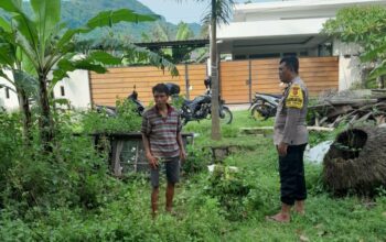 Ketahanan Pangan Berbasis Desa: Langkah Nyata Bhabinkamtibmas Senggigi