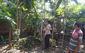 Polsek Kuripan Gandeng Warga Dusun Beremi Tingkatkan Kemandirian Pangan