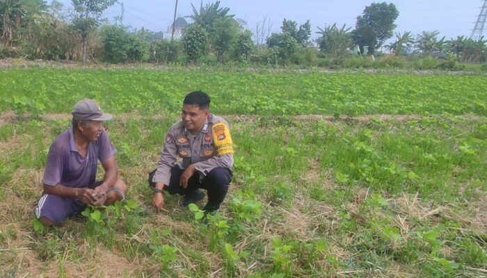 Polsek Labuapi Dorong Program Pangan Mandiri lewat Edukasi di Desa Kuranji