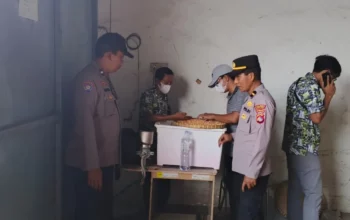 Petani Lega! Jagung Kering Terserap Bulog dengan Harga Acuan Pemerintah