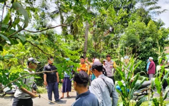 P3-TGAI Lelede: Dukungan Ustadz Abdul Hadi untuk Petani Lombok Barat
