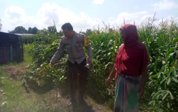 Bhabinkamtibmas dan Petani Bersatu Perkuat Ketahanan Pangan Lokal