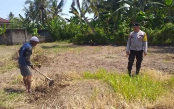 Lombok Barat, NTB – Dalam upaya konkret mendukung Program Ketahanan Pangan Nasional, Bhabinkamtibmas Desa Jagaraga, AIPTU I Gede Dodit, melaksanakan kunjungan dan dialog langsung dengan petani di Dusun Lamper. Kegiatan yang berlangsung pada hari Sabtu, 18 Oktober 2025, pukul 11.00 WITA hingga selesai, ini bertujuan mendorong pemanfaatan lahan produktif secara maksimal oleh warga binaan, baik untuk bercocok tanam maupun beternak atau perikanan. Inisiatif ini merupakan wujud nyata sinergi Polri dan masyarakat dalam menjaga ketersediaan pangan di tingkat lokal. Peran Aktif Polri dalam Mendukung Kemandirian Pangan Daerah Kunjungan Bhabinkamtibmas AIPTU I Gede Dodit di Dusun Lamper difokuskan kepada Bapak Ahmad, salah seorang petani setempat yang memiliki lahan produktif. Dalam pertemuan yang berlangsung hangat dan penuh kekeluargaan, AIPTU I Gede Dodit menyampaikan pentingnya peran aktif masyarakat, terutama para petani dan peternak, dalam menghadapi tantangan ketahanan pangan global. Ia mengajak warga untuk tidak hanya mengandalkan hasil panen utama, tetapi juga memanfaatkan pekarangan rumah atau lahan tidur untuk menanam komoditas pangan cepat panen seperti sayur-sayuran, sebagai bentuk diversifikasi dan cadangan pangan keluarga. Kapolsek Kuripan, Polres Lombok Barat, Polda NTB, Ipda I Wayan Eka Ariyana, S.H., menegaskan bahwa kegiatan ini adalah bagian dari instruksi pimpinan Polri untuk secara masif mengawal dan mendukung program pemerintah. "Peran Bhabinkamtibmas sangat strategis sebagai ujung tombak Polri di desa. Mereka tidak hanya menjaga kamtibmas, tetapi juga menjadi motivator dan penggerak ekonomi kerakyatan, khususnya di sektor pertanian. Kami terus mendorong anggota kami untuk terjun langsung, memastikan warga binaan teredukasi dan tergerak untuk memanfaatkan setiap jengkal lahan yang ada," ujar Ipda I Wayan Eka Ariyana, S.H. Menggali Potensi Lokal Melalui Pemanfaatan Lahan Produktif Inti dari kunjungan tersebut adalah memotivasi Bapak Ahmad dan warga lainnya agar lebih optimal dalam memanfaatkan lahan. AIPTU I Gede Dodit memberikan pemahaman bahwa ketahanan pangan dimulai dari tingkat rumah tangga dan desa. Dengan menanam sayur-sayuran di lahan milik sendiri, warga dapat mengurangi ketergantungan pada pasar, memastikan ketersediaan pangan yang sehat, sekaligus berpotensi meningkatkan pendapatan keluarga. "Saya berdialog dengan Bapak Ahmad, menjelaskan bahwa program ketahanan pangan ini bukan hanya tanggung jawab pemerintah semata, melainkan tanggung jawab kita bersama. Dengan memanfaatkan lahan seoptimal mungkin, kita tidak hanya menjamin ketersediaan pangan keluarga, tapi juga ikut berkontribusi pada ketahanan pangan nasional," kata AIPTU I Gede Dodit. Ia menambahkan, pihaknya siap membantu memfasilitasi komunikasi dengan instansi terkait jika warga membutuhkan bimbingan teknis lebih lanjut mengenai pertanian atau peternakan. Sambutan Positif Warga dan Komitmen Mendukung Program Pemerintah Sambutan dari Bapak Ahmad, petani yang menjadi sasaran kunjungan, menunjukkan antusiasme tinggi terhadap inisiatif ini. Bapak Ahmad menyatakan kesediaannya untuk mendukung program pemerintah dengan mulai menanam berbagai jenis sayur-sayuran di tanah miliknya yang terletak di Dusun Lamper, Desa Jagaraga. "Kami menyambut baik kunjungan dari Bapak Bhabinkamtibmas. Ini sangat memotivasi kami para petani. Kami siap mendukung program ketahanan pangan ini. Kebetulan kami punya lahan, dan arahan dari Bapak Dodit untuk menanam sayur-sayuran sangat masuk akal untuk cadangan pangan keluarga kami. Kami akan segera memulainya," tutur Bapak Ahmad dengan semangat. Hasil dari kegiatan ini tidak hanya terhenti pada komitmen menanam sayuran, tetapi juga berhasil menjalin dan memperkuat tali silaturahmi serta komunikasi yang baik antara Polri dan warga binaan. Komunikasi yang intensif dan berkelanjutan seperti ini sangat penting untuk memastikan program-program pemerintah dapat berjalan lancar dan tepat sasaran di tingkat desa. Secara keseluruhan, kegiatan Bhabinkamtibmas Desa Jagaraga AIPTU I Gede Dodit di Dusun Lamper ini berjalan lancar. Situasi di lokasi terpantau aman dan kondusif, mencerminkan sinergi yang harmonis antara aparat keamanan dan masyarakat. Upaya ini menjadi salah satu pilar penting dalam mewujudkan kemandirian pangan yang berkelanjutan di wilayah Kabupaten Lombok Barat, sekaligus mengukuhkan citra Polri sebagai pengayom dan mitra produktif bagi masyarakat. Keberhasilan ini diharapkan dapat menjadi contoh inspiratif bagi desa-desa lain untuk turut serta aktif dalam program penguatan ketahanan pangan nasional.