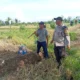 Sinergi Polri dan Petani Wujudkan Ketahanan Pangan di Karang Bongkot
