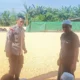 Sinergi Polisi dan Petani Jaga Pasokan Jagung di Lombok Barat