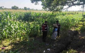 Patroli Ketahanan Pangan: Sinergi Polres Lobar dan Petani Jagung